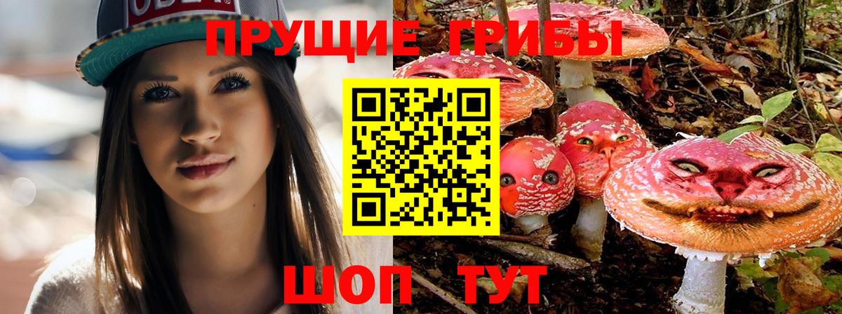 что такое наркотик  Вход с VPN  Чапаевск  Псилоцибиновые грибы Psilocybe  Галлюциногенные грибы GOLDEN TEACHER 